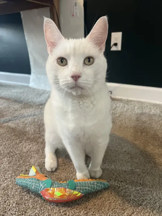Sam