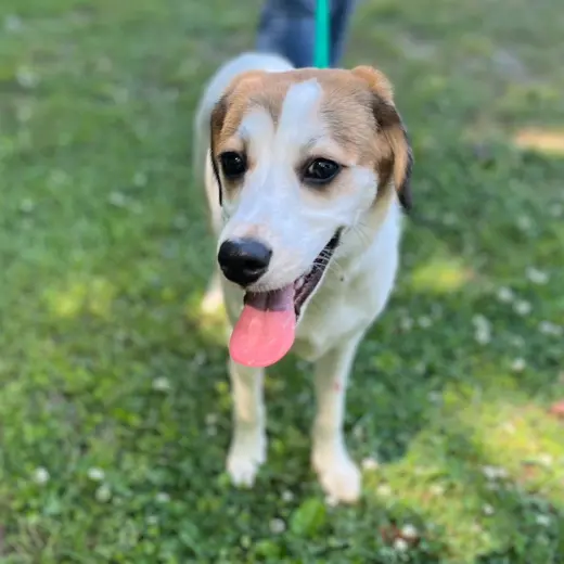 RUBY HOPE  LOWER FEE