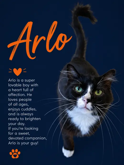 Arlo (FCID# 04/22/2026 - 35 Middletown PS) C