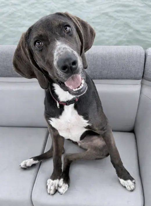Josie
