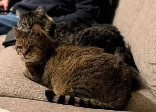 Sunny (DLH) & Crumble: Bonded (5/08/2025 - 11, 26)