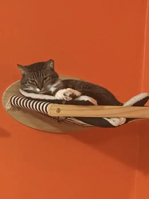 Luna and Max Bonded