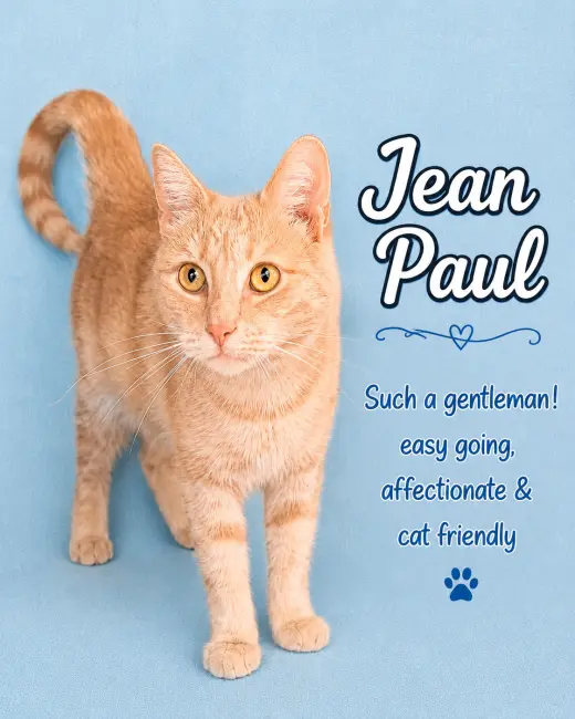 Jean Paul (FCID 1/12/26-82) Willow Grove PA