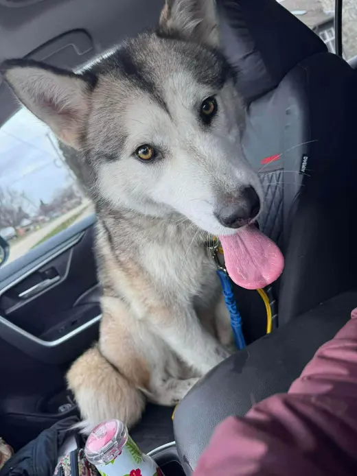 Luna at Large