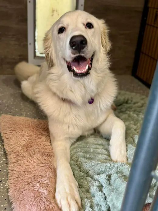 Skye AKA Skyler