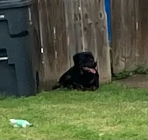 CLYDE