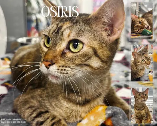 Osiris