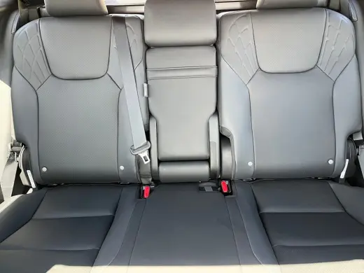 2025 Lexus RX