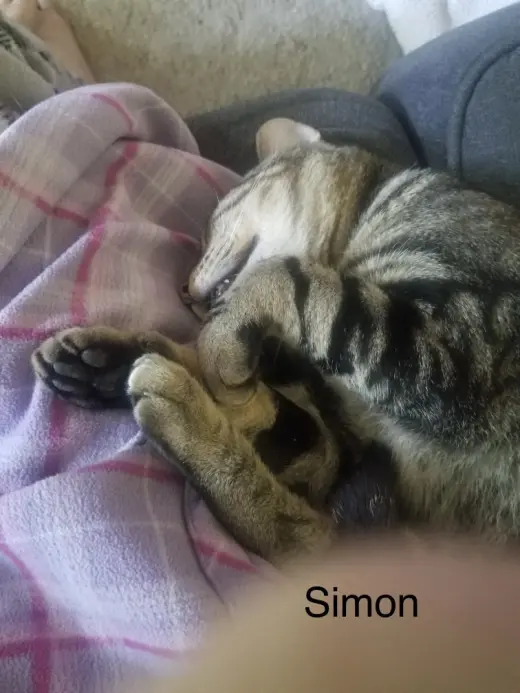 Simon