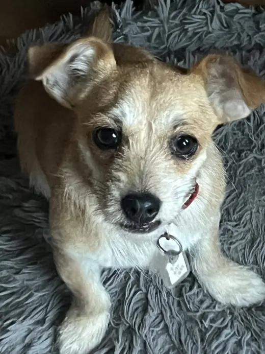 Tilly