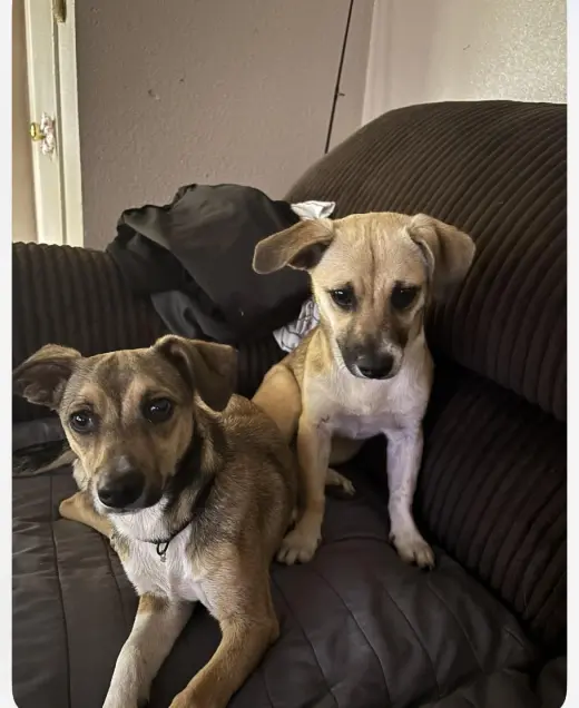 Luna and Zeus