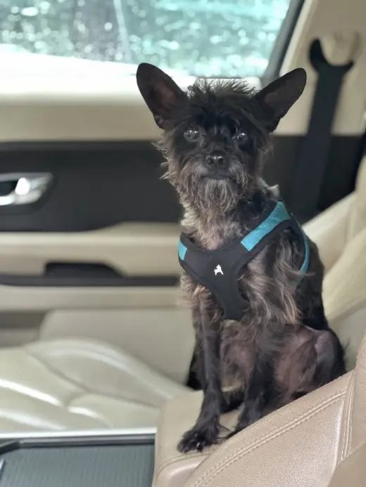 Pablo