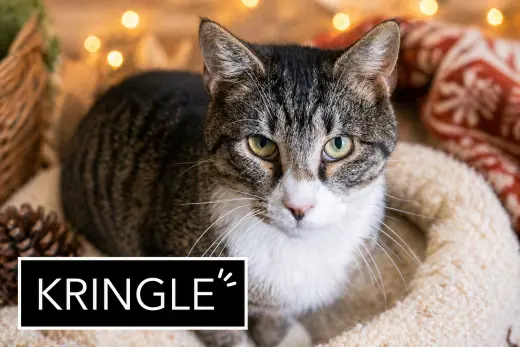 Kringle (FCID# 01/07/2026 - 90)