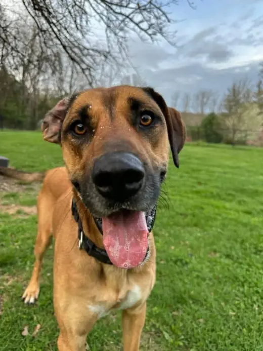 Duke