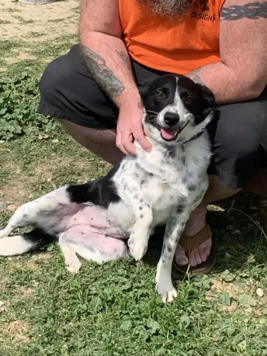 Dotti