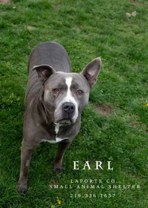 Earl