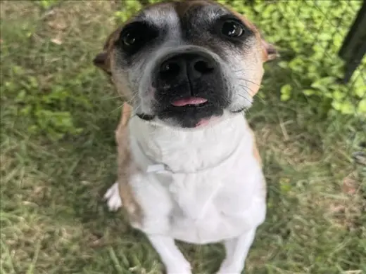 FIONA