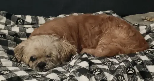 Grandpa Leo
