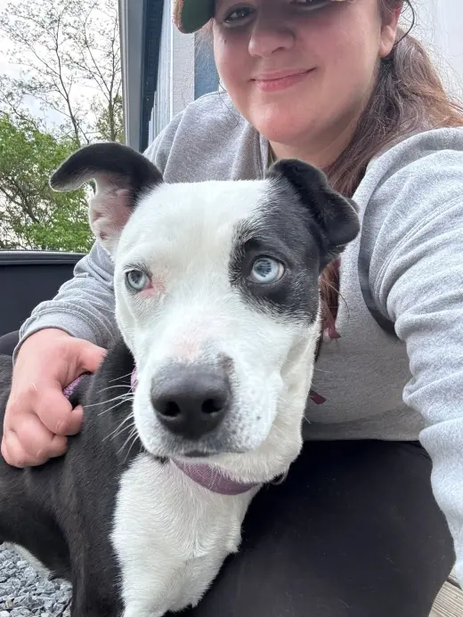 Mercedes (1yo, 45lbs)