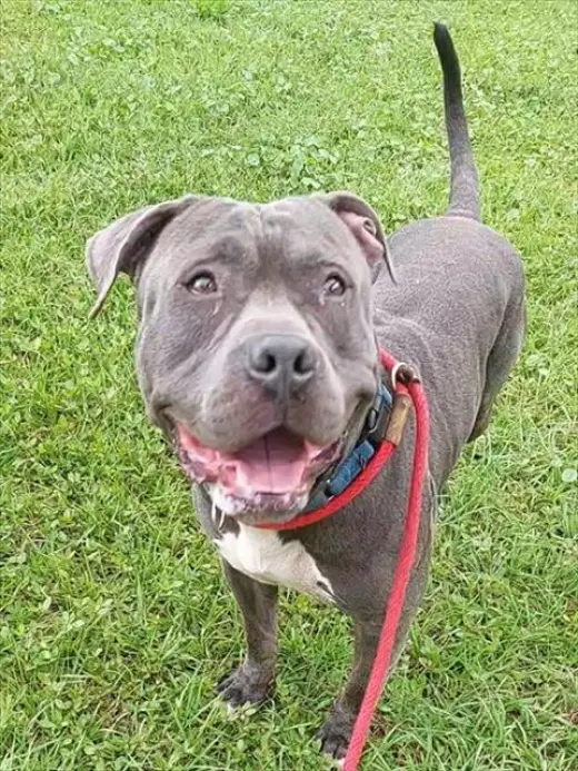 TITUS