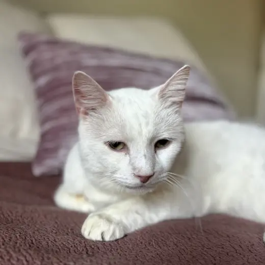 Earl (bonded to Floyd)