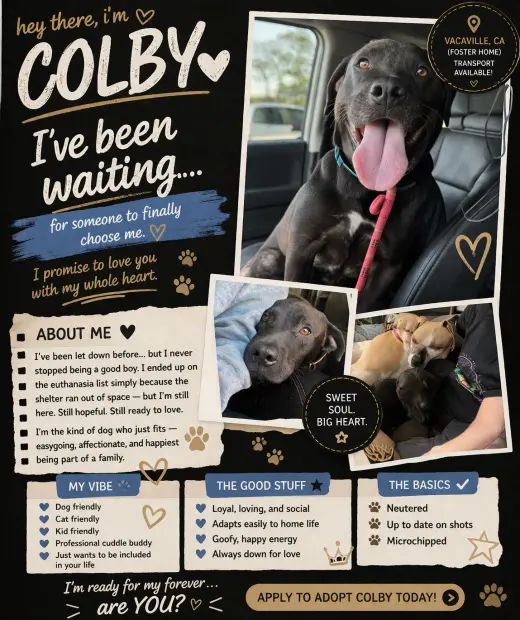 Colby