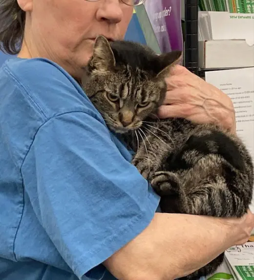 Meribeth bonded with Little Cutie