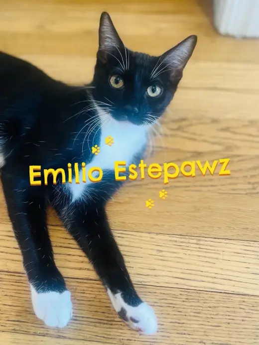 EMILIO ESTEPAWZ