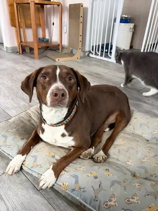 Sally aka Spunky Sully