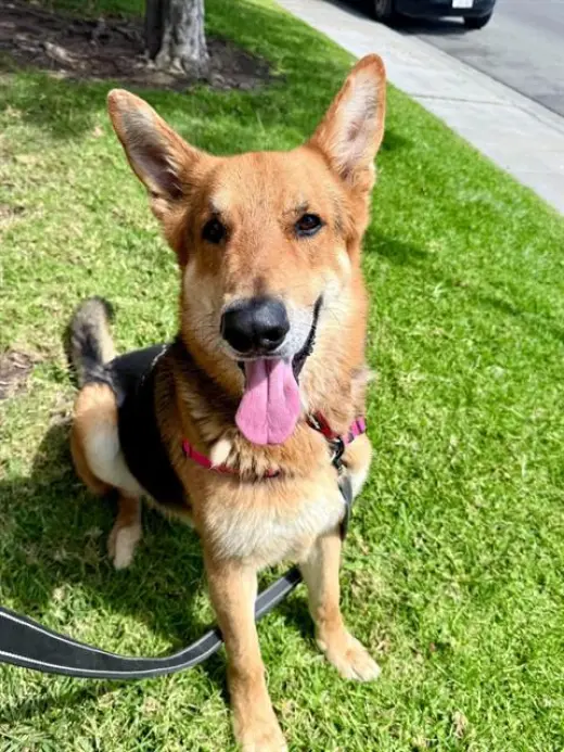 LUCA