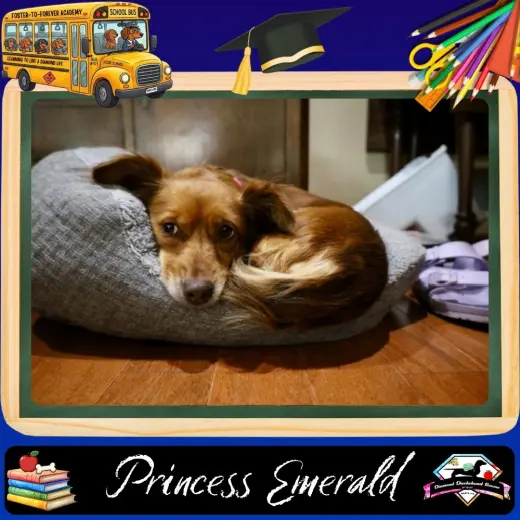 Princess Emerald