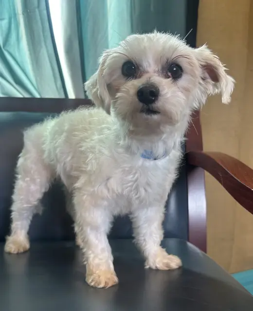 Snickers Mar 26