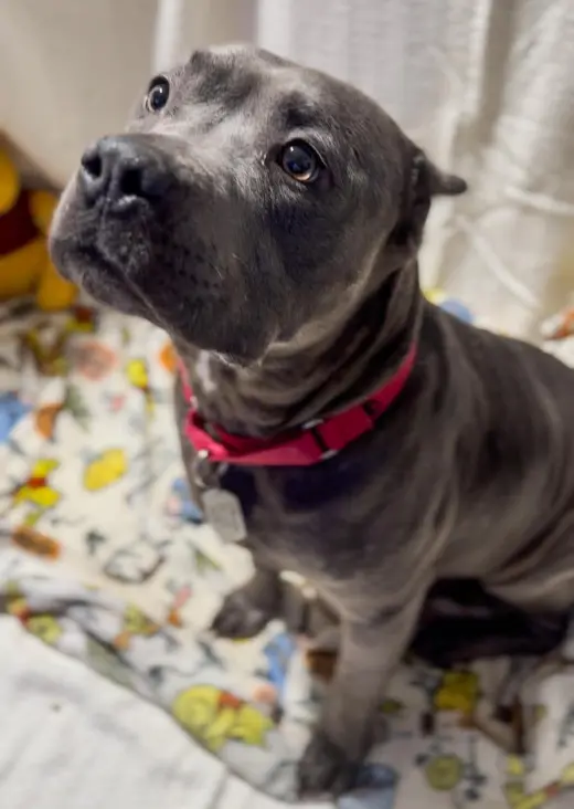 Winnie