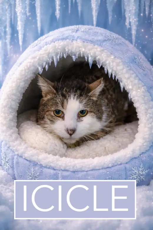 Icicle (FCID# 01/28/2026 - 27)