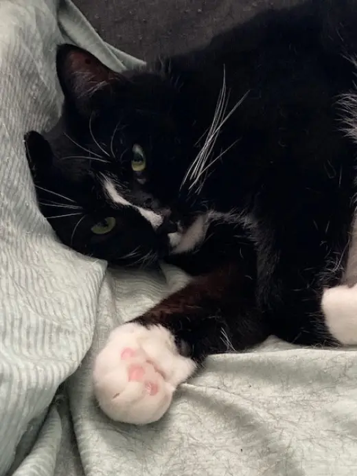 Keena