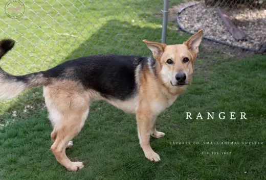 Ranger