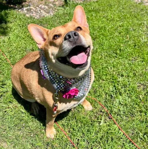 Ethel