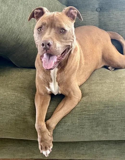 ROSIE