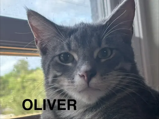 Oliver
