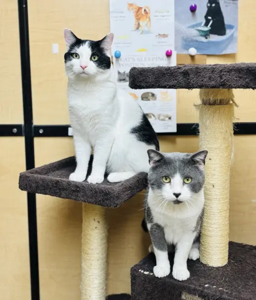 Byrdie & Mickle (bonded pair)