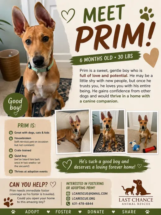 PRIM