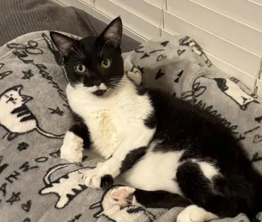 Max
