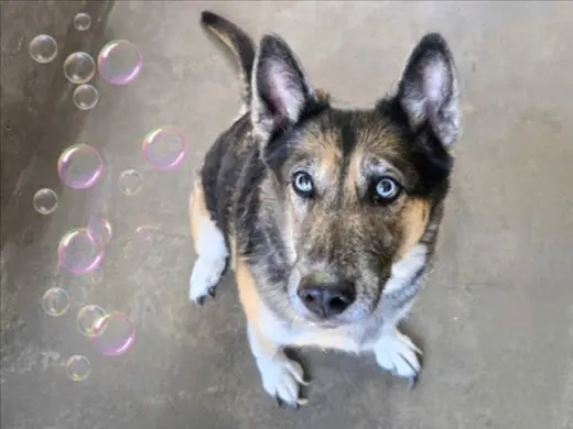 LUNA