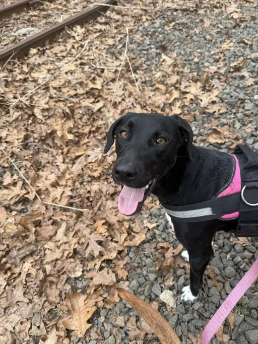 Daisy aka Sprite