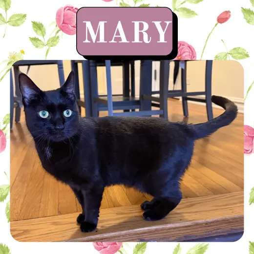 Mary
