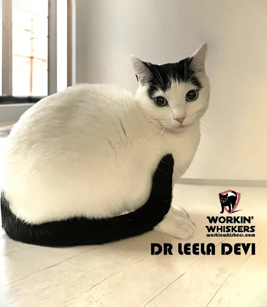 DR LEELA DEVI