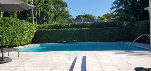 Tree landscaping