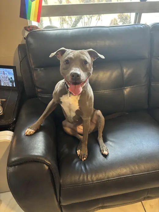 Penny (Penelope)