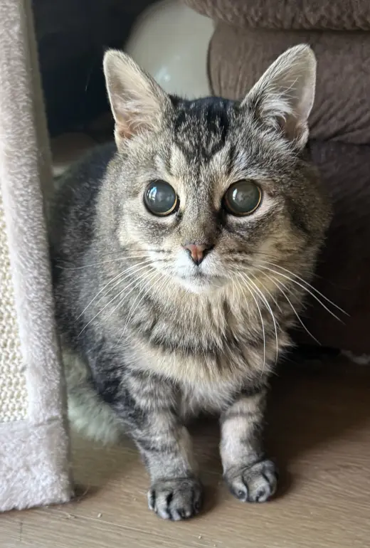 Hootie - sightless sweetie