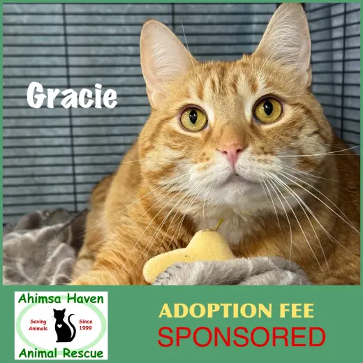 Gracie
